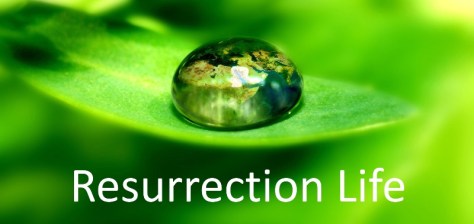 ???????????????????????????