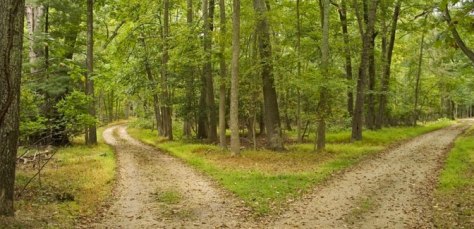 2019.03.10_Forkintheroad