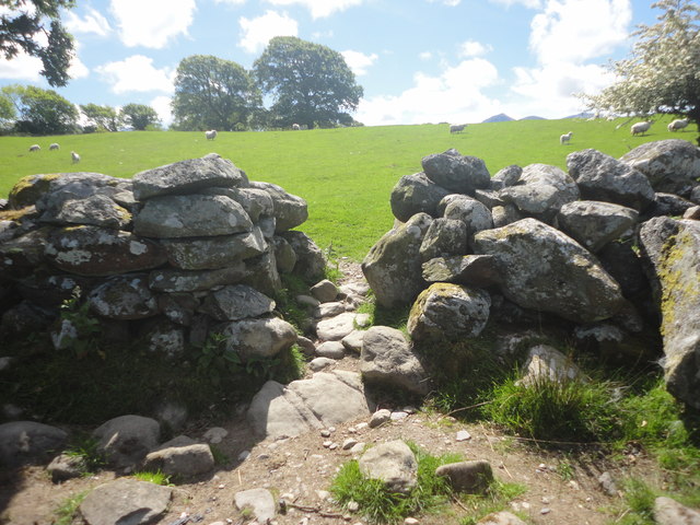 2020.04.16_Standing_in_the_gap